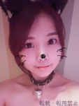 きゃっと はちのプロフィール画像