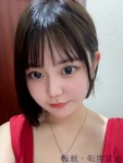 赤木 さちのプロフィール画像