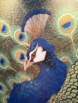 美人茶屋 祇園のプロフィール画像
