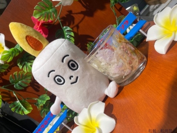 ブログ画像