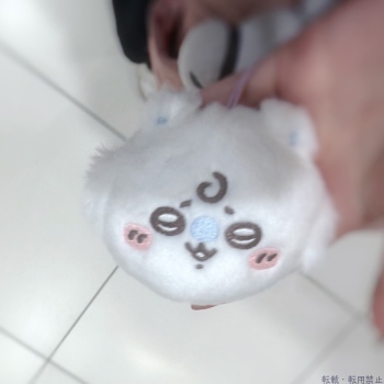 ブログ画像