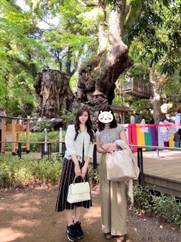 ブログ画像