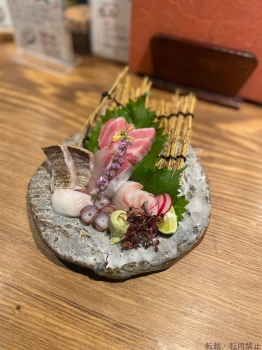 ブログ画像