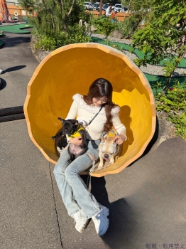 ブログ画像