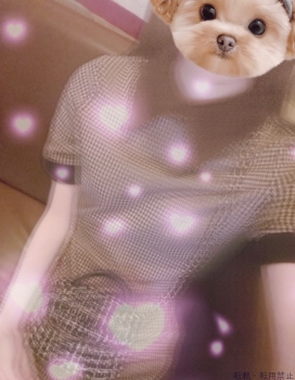 ブログ画像