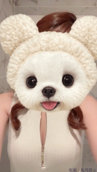 ブログ画像