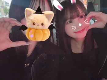 ブログ画像
