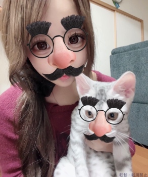 ブログ画像