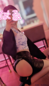 ブログ画像