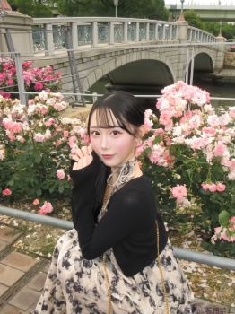 ブログ画像