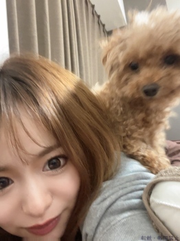 ブログ画像
