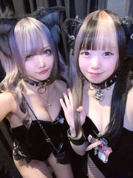 ブログ画像