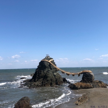 ブログ画像