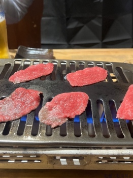ブログ画像