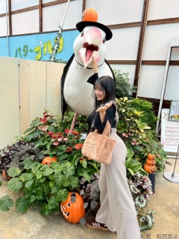 ブログ画像