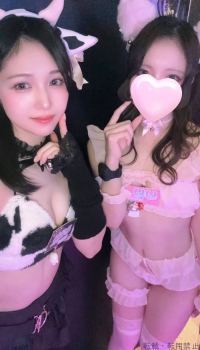 ブログ画像