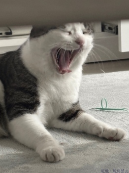 ブログ画像