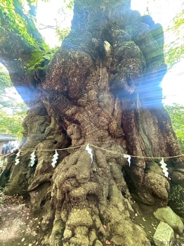 ブログ画像