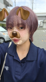 ブログ画像