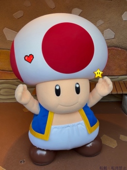 ブログ画像