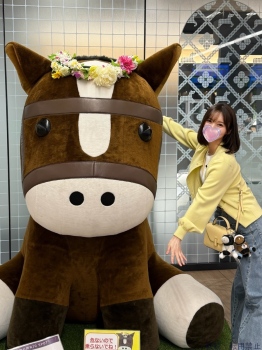 ブログ画像