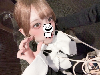 ブログ画像