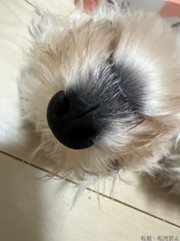 ブログ画像