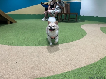 ブログ画像