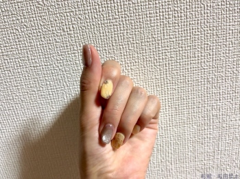 ブログ画像