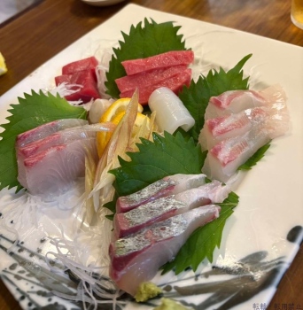 ブログ画像