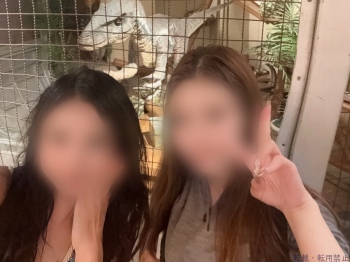 ブログ画像