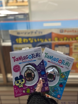 ブログ画像