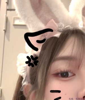 ブログ画像
