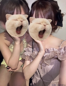 ブログ画像
