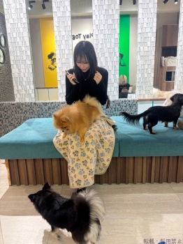 ブログ画像