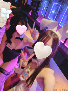 ブログ画像