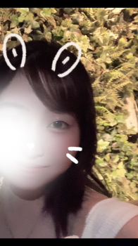 ブログ画像