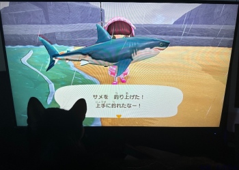 ブログ画像