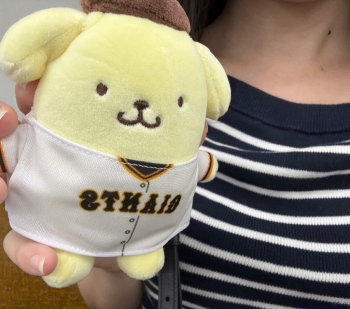 ブログ画像