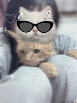 ブログ画像