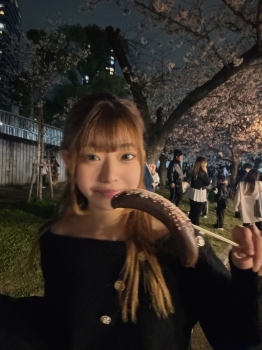 ブログ画像