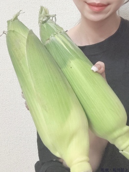 ブログ画像