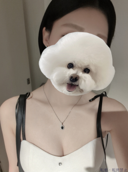 ブログ画像