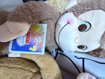 ブログ画像