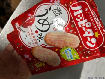 ブログ画像