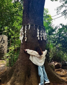 ブログ画像