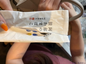 ブログ画像