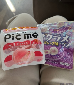 ブログ画像