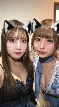 ブログ画像