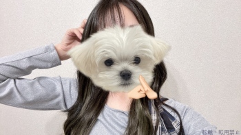 ブログ画像